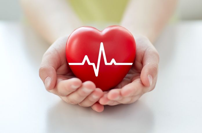 A pair of hands holding a heart